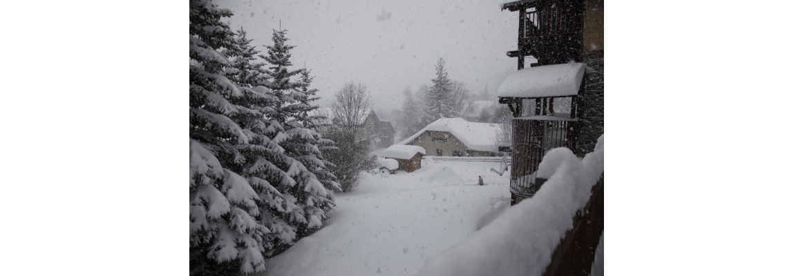 Le jardin sous la neige